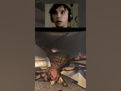 бруда 6 слотов #серегапират #дота - YouTube