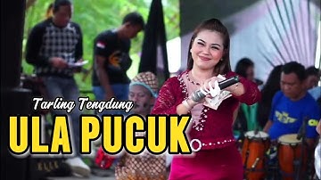 ULA PUCUK ~ DEVI ADINDA // CITRA NADA LIVE DESA KEMURANG WETAN // KEC.TANJUNG - BREBES