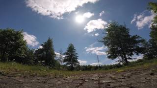 How NOT to power loop trees!