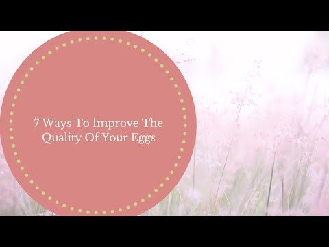 improve-your-fertility-naturally--7-ways-to-improve-the-quality-of-your-eggs