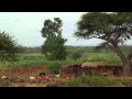 IFAW Proflie Daniel Leturesh Amboseli Wildlife Hero IFAW Proflie Daniel Leturesh Amboseli Wildlife Hero