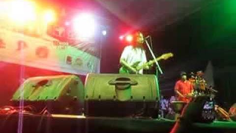 Tony Q Rastafara   Tertanam