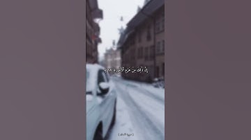 ﴿ یَـٰبُنَیَّ أَقِمِ ٱلصَّلَوٰةَ وَأۡمُرۡ بِٱلۡمَعۡرُوفِ .. ﴾ - سورة لقمان