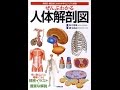 【紹介】ぜんぶわかる人体解剖図 系統別・部位別にわかりやすくビジュアル解説 （坂井建雄,橋本尚詞）