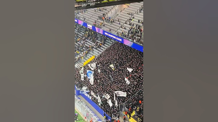 Sturm Graz Fans in Dortmund 05.11.2024