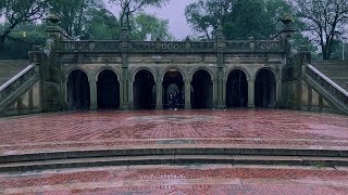 Rainy Walk through Central Park, New York. Rain and city ambience sounds for study and relaxation.