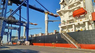 How Big Cranes Unload Loading Ships: Daily Work at the Port with Maersk Line