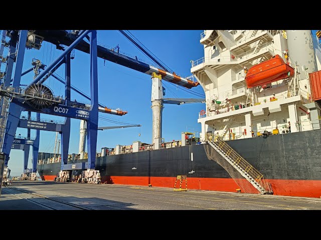 How Big Cranes Unload Loading Ships: Daily Work at the Port with Maersk Line class=