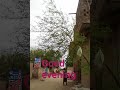 #reels #viral #funny #duet