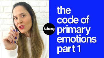 Video no.3 | The code of primary emotions—part 1