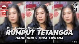 RUMPUT TETANGGA REMIX BAND VERSION BANG NDII VOCAL MIRA