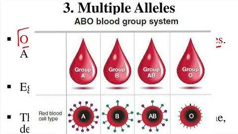 Lecture 4.2 (Deviation from Mendel)