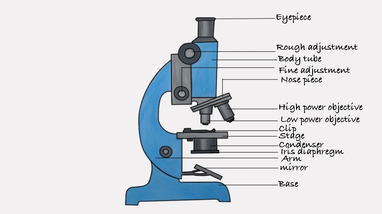 Microscope Line Drawing by ScienceDoodles on DeviantArt