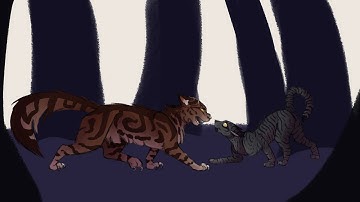 Tigerstar & Darkstripe Redraw -- Let