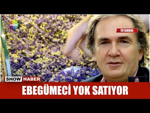 Ebegümeci yok satıyor