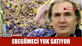 Ebegümeci yok satıyor Resimi