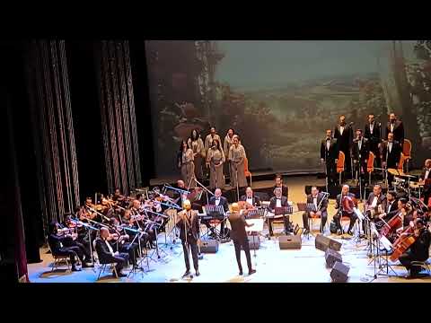 يا مالكا قلبي حفلة أيمن مصطفى