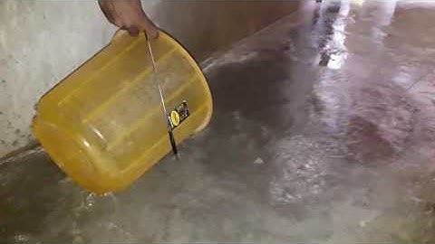 Water reverse flow #Amazing Video Graphics #