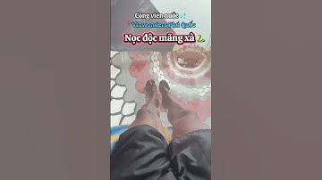 Công viên nước 💦 Vinwonders Phú Quốc