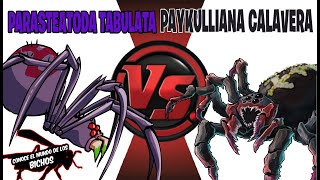 PAYKULLIANA CALAVERA VS PARASTEATODA TABULATA - FINAL INESPERADO