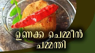 ഈ ചമ്മന്തി ഉണ്ടെങ്കിൽ വയറുനിറച്ച്  ചോറ്  കഴിക്കാം | Chemmeen Chammanthi |