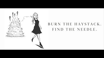 Update and New Approaches #burnthehaystack