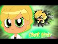 Miraculous Chibi Transformation Adrien - Chat Noir