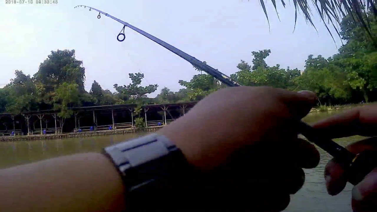 Casting UL di kolam ( edisi Strike ikan patin 1 )