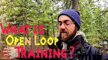 Close vs Open Loop Perspectives in LIFE, Teaching and Spiritual Practice