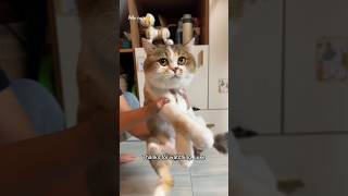 My mimi likes this dance #short