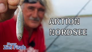 Hier Angelt Kaum Jemand Mythos Nordsee - Unser Ziel Ist Fisch Mit Jörg Ovens