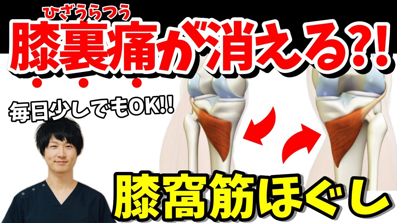 【膝窩筋ほぐし】膝裏痛が消える？機能解剖学的特徴と解消法を紹介！