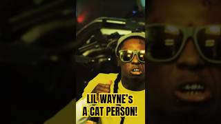 So LilWaynes A Cat Person 🐈 #shorts #lilwayne #reaction