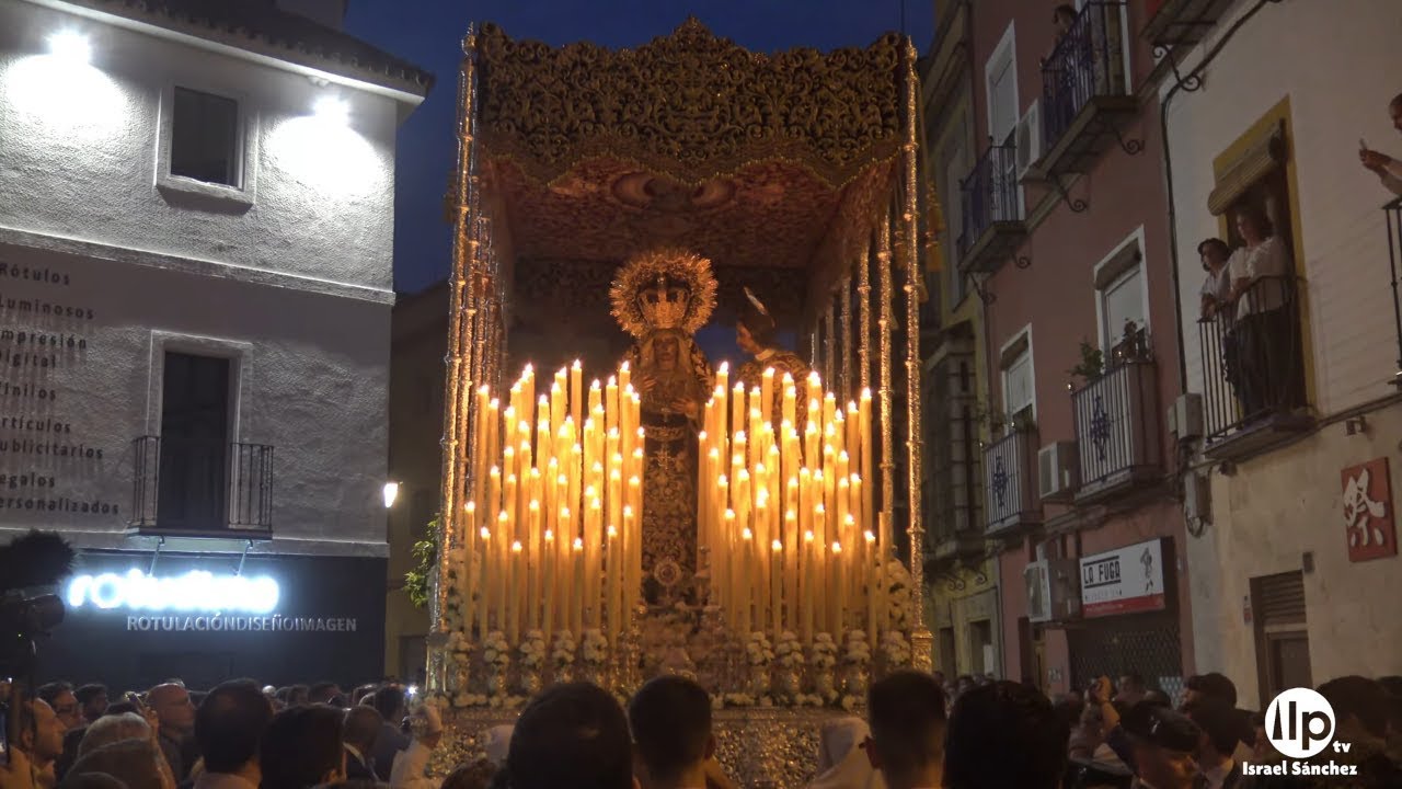 [4K] Amarguras | Virgen de la Amargura | Hdad.de la Amargura | 2019