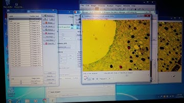 Micromanager xy multi image demo