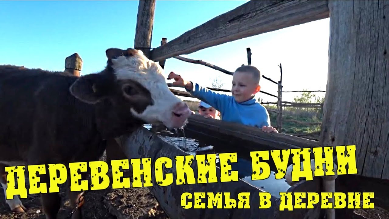 Нива в деревне