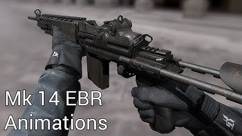 Fo4 Mk14 EBR Animations (Mod Release)