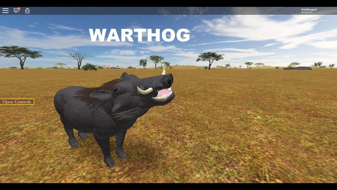 Roblox Wild Savannah New Warthog Youtube - wild savannah roblox update