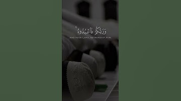 سورة الزخرف.      القارئ : عبدالله الموسى