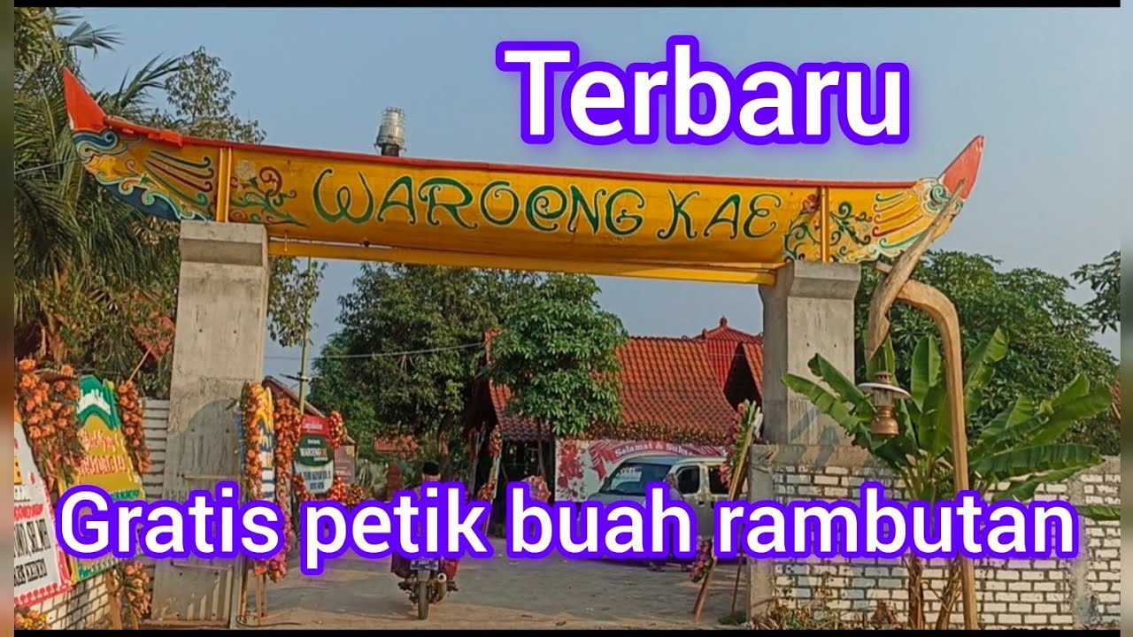 terbaru di ujungpangkah gresik WAROENG KAE free petik buah #kuliner