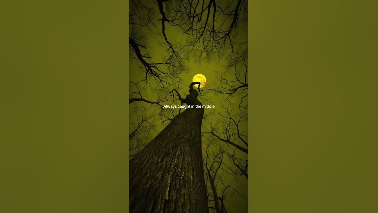 Family Ties - Starr Adara 🎧 ::: #lyrics #lyricvideo #music #song