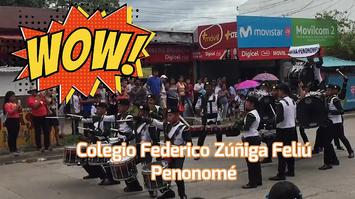 Percusin  Colegio Federico Zuiga