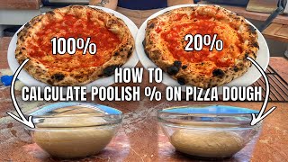 In Depth Understanding Poolish % For Pizza Dough screenshot 2