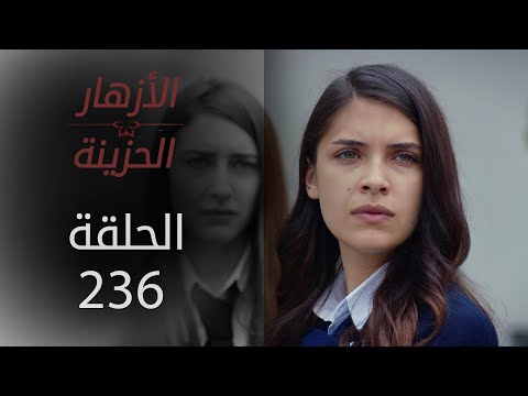 مسلسل الأزهار الحزينة | الحلقة 236 - الموسم الثاني