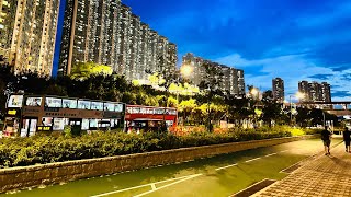Hongkong Local Market And Walk Tung Chung Ying Tung