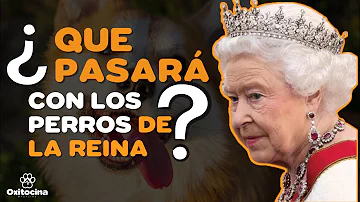 ¿Cuántos perros tiene la Reina Isabel?