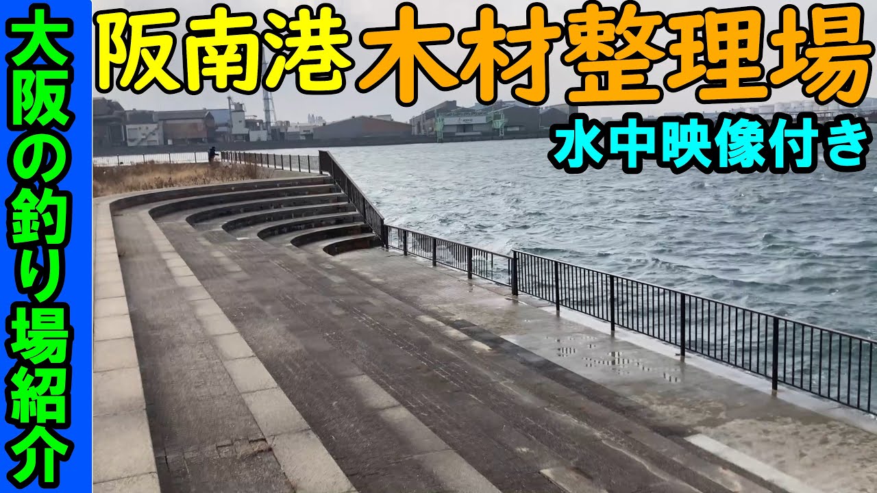 大阪の阪南港の木材整理場の釣り場を紹介！海中映像でポイントを確認