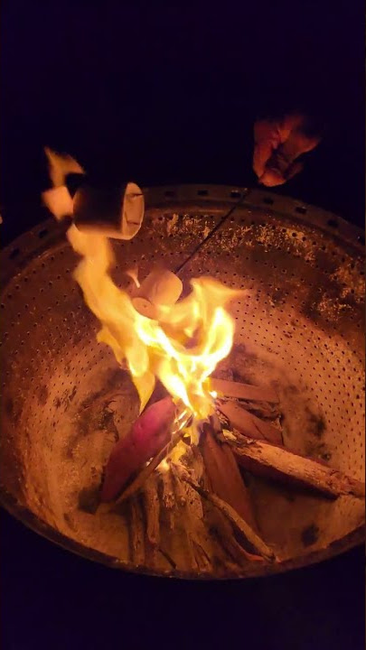 Fun roasting Marshmallows on Campfire 🤣🤣