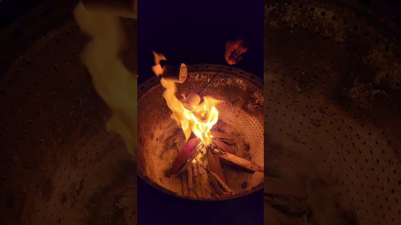 Fun roasting Marshmallows on Campfire 🤣🤣