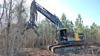 Clearing An Overgrown Logging Cutover